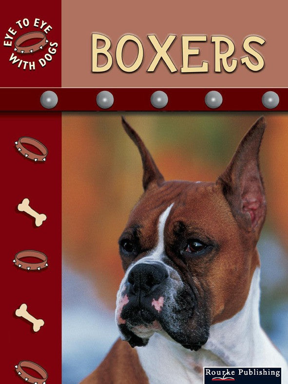 2005 - Boxers (eBook)