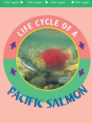 Pacific Salmon (eBook) – Rourke