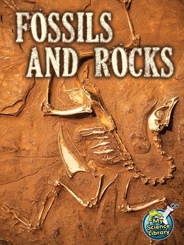 2013 - Fossils and Rocks (Paperback)