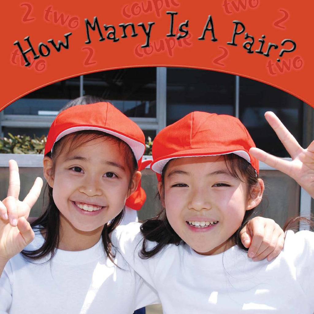 2007 - How Many Is A Pair? (eBook)