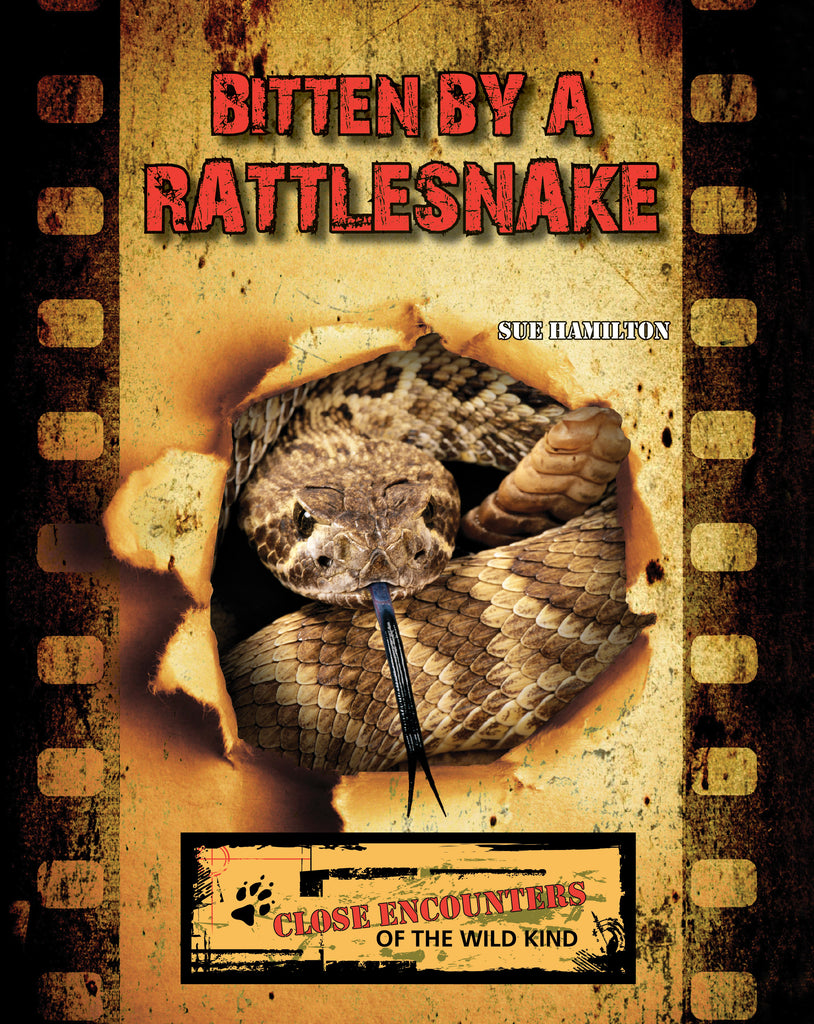 2021 - Bitten by a Rattlesnake (Paperback)
