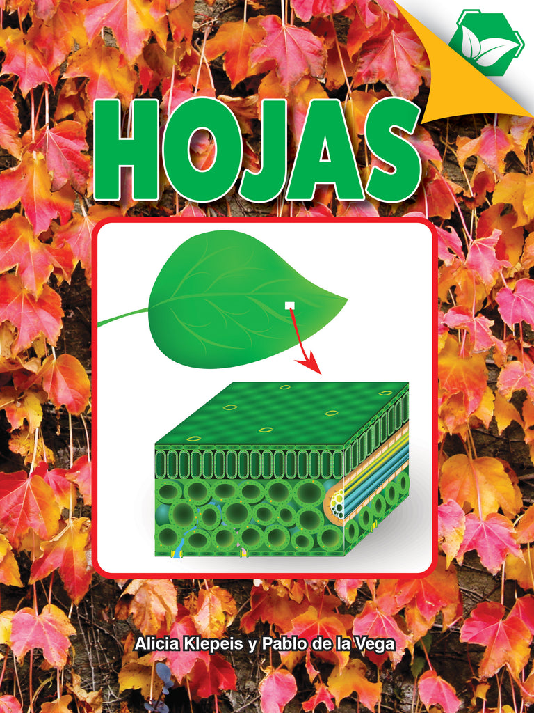 2023 -  Hojas (Hardback)