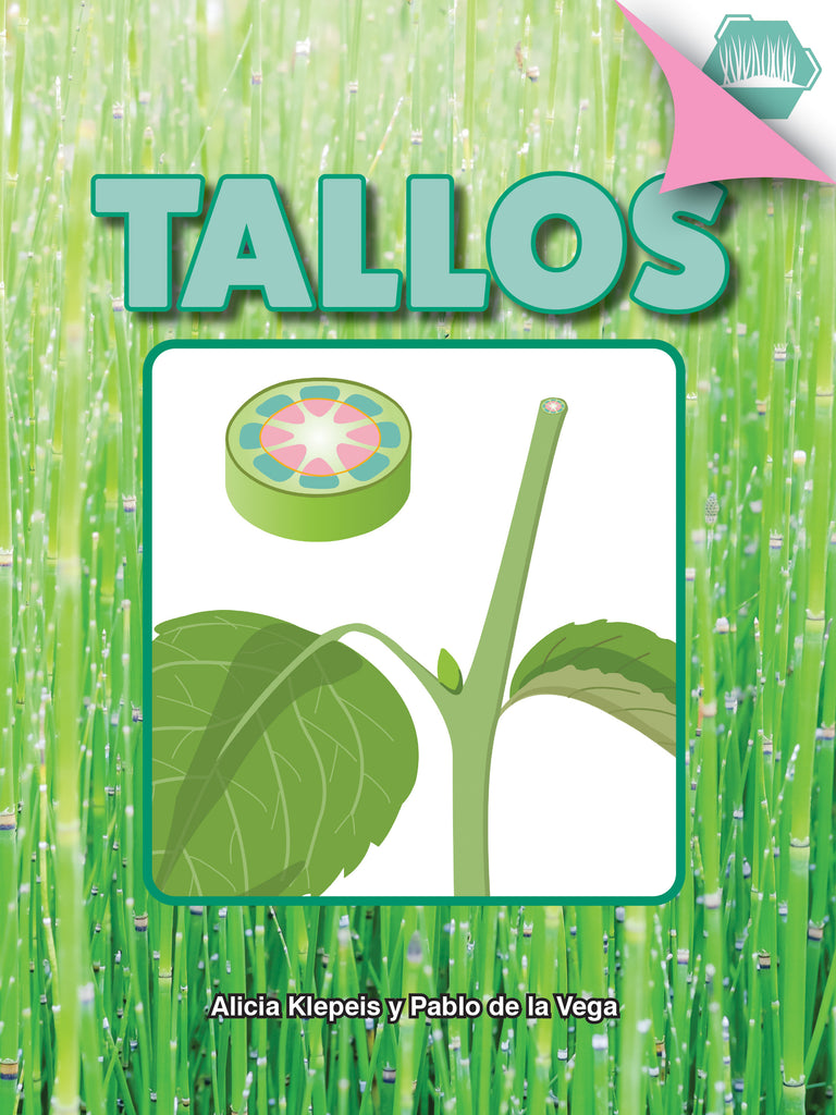 2023 -  Tallos (Paperback)