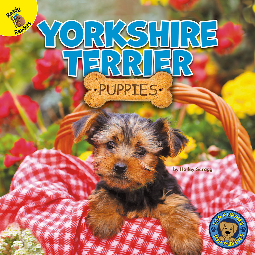 2020 - Yorkshire Terrier Puppies (eBook)