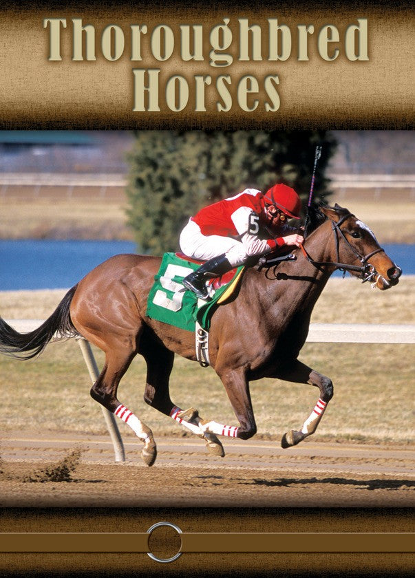 2008 - Thoroughbred Horses (eBook)