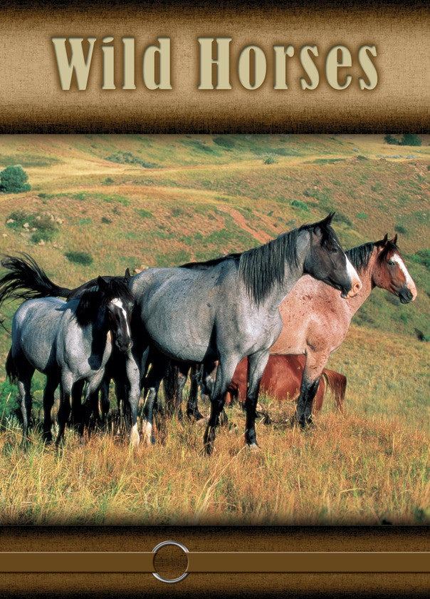 2008 - Wild Horses (eBook)