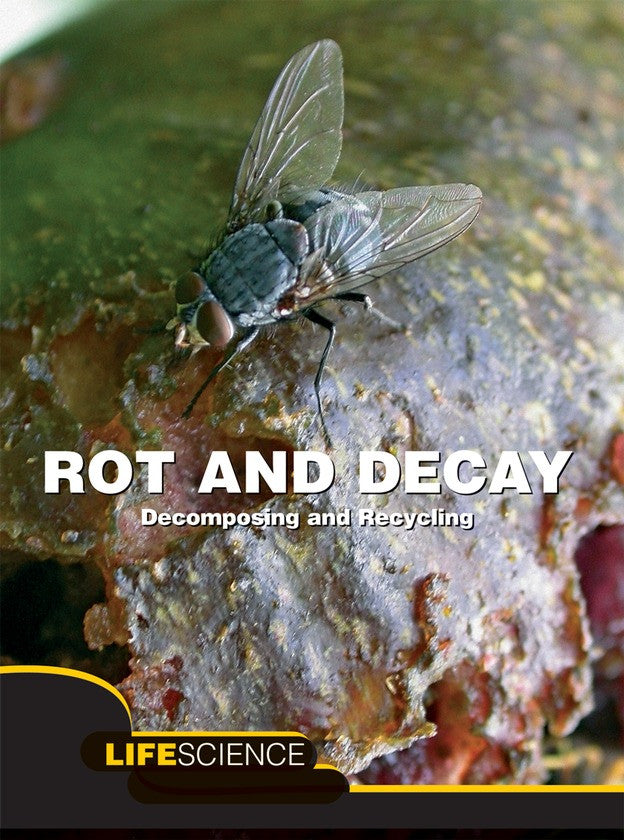 2008 - Rot and Decay (eBook)