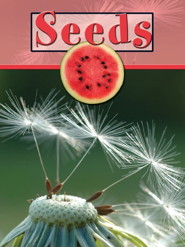 2008 - Seeds (Paperback)