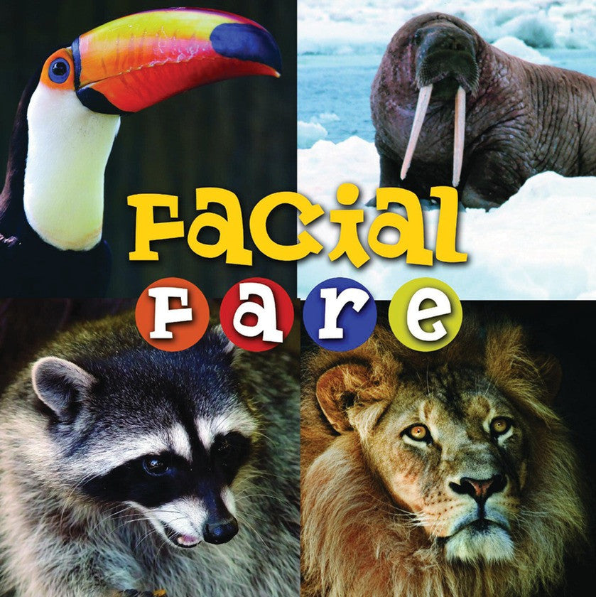 2009 - Facial Fare (eBook)