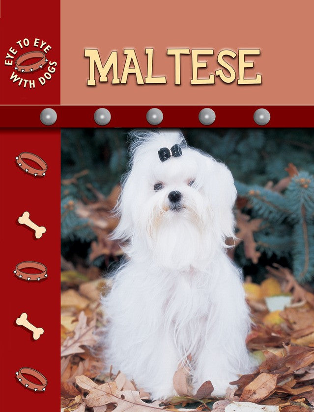 2009 - Maltese (eBook)