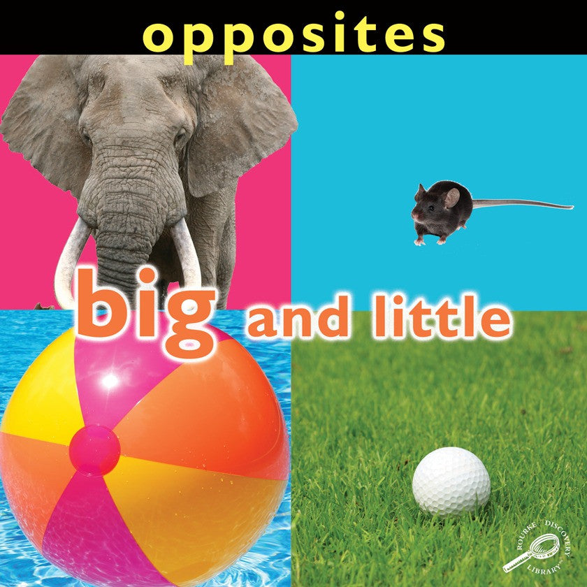 2009 - Opposites: Big and Little (eBook)
