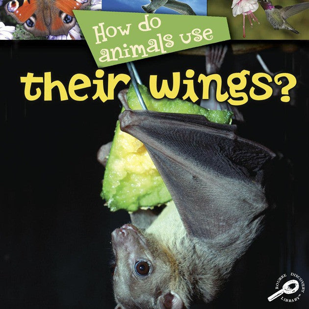 2008 - How Do Animals Use... Their Wings? (eBook)