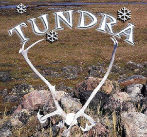 2004 - Tundra (eBook)