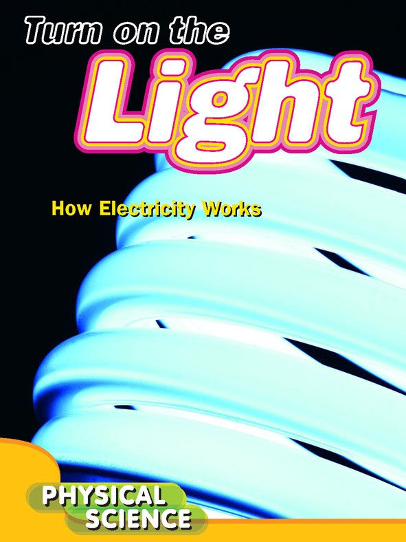 2011 - Turn On The Light (Paperback)