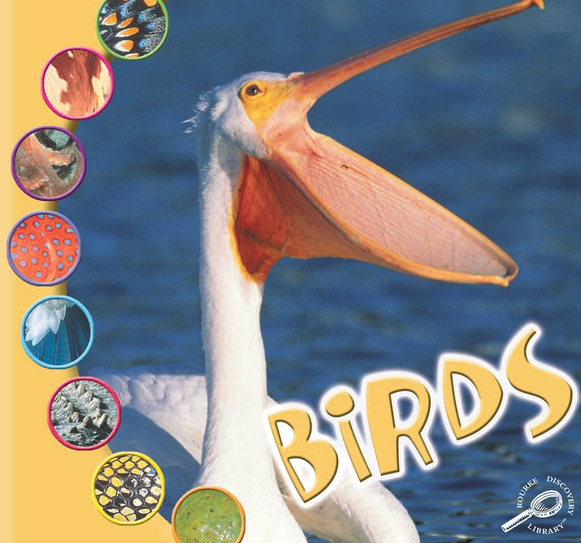 2006 - Birds (eBook)