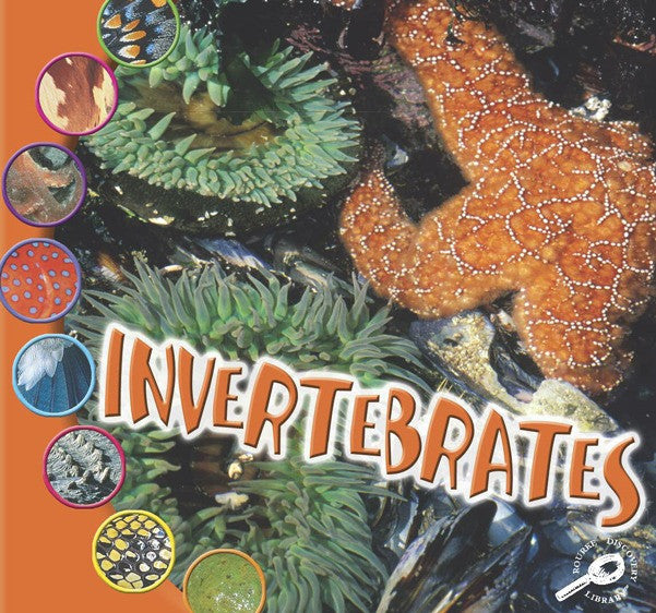 2006 - Invertebrates (eBook)