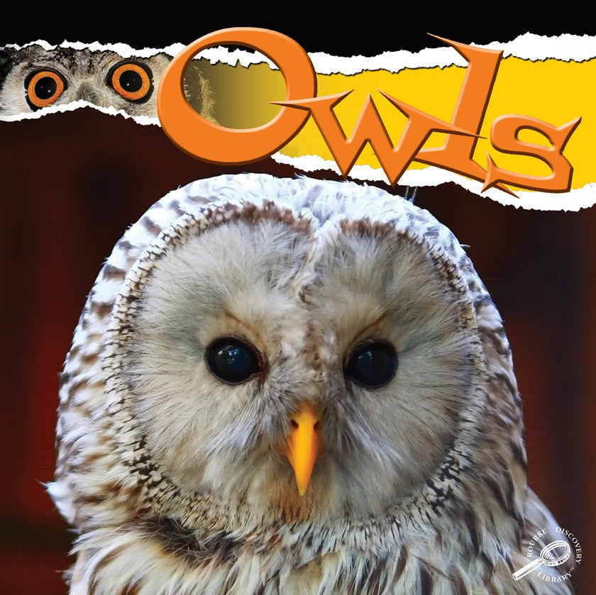 2010 - Owls (eBook)