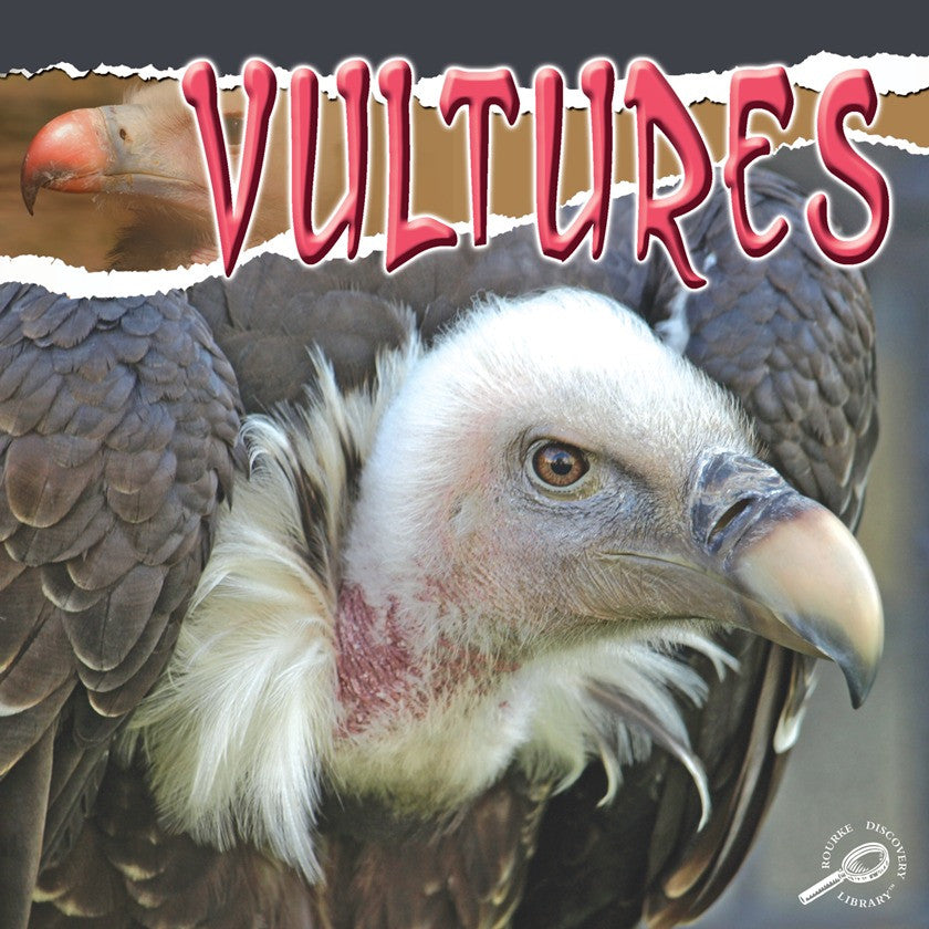 2010 - Vultures (eBook)
