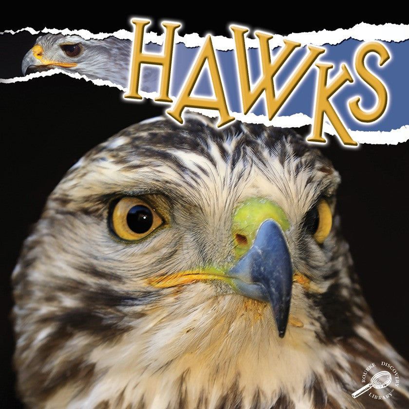 2010 - Hawks (eBook)