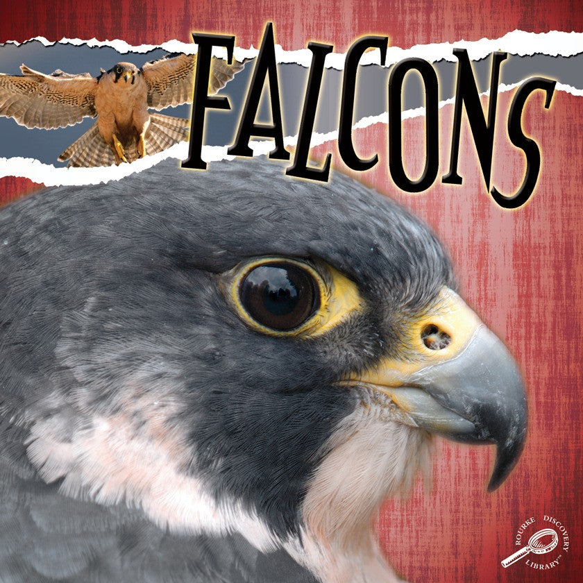 2010 - Falcons (eBook)