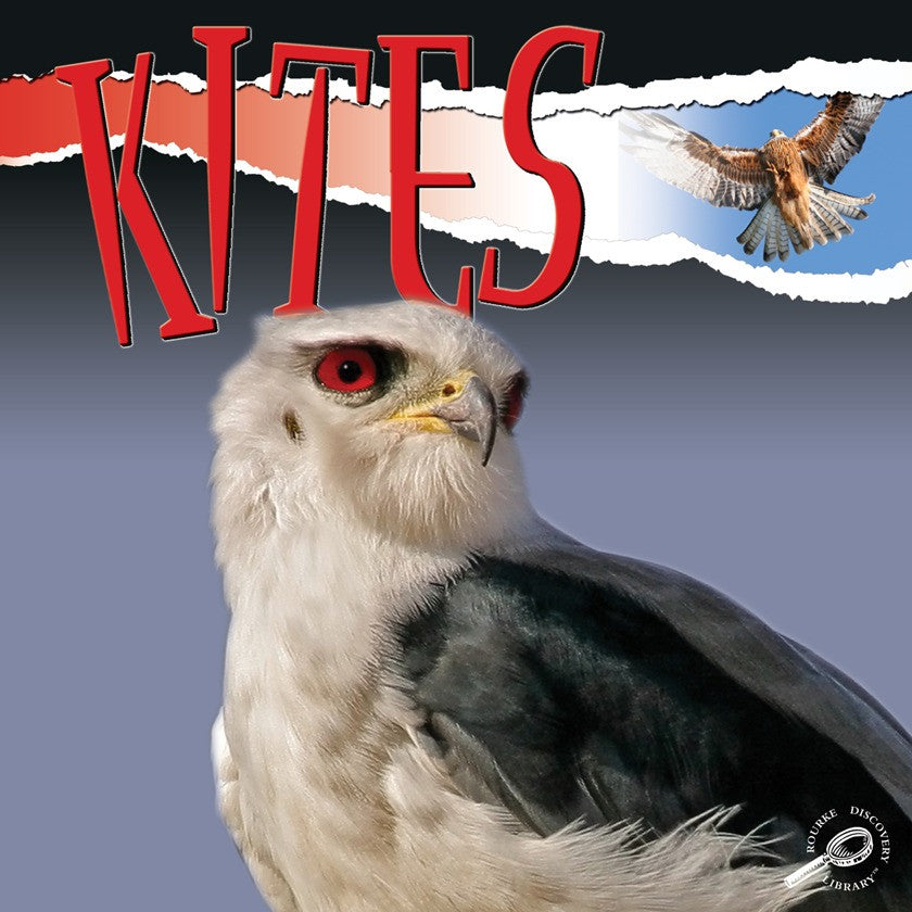 2010 - Kites (eBook)