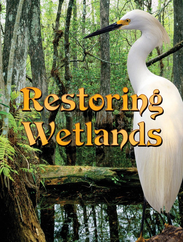 2010 - Restoring Wetlands (eBook)