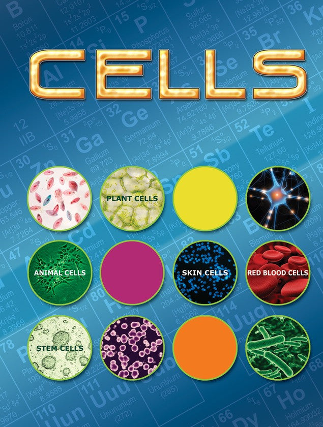 2010 - Cells (eBook)