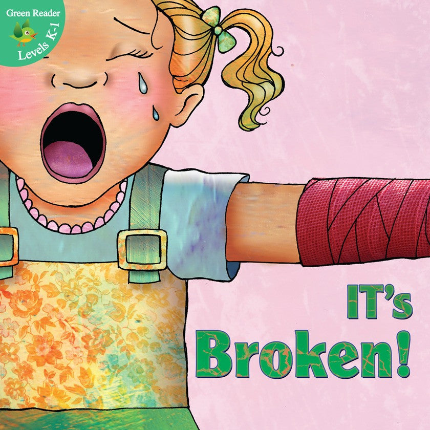 2012 - It's Broken! (Paperback)