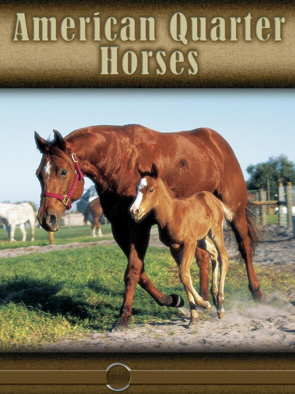 2008 - American Quarter Horse (eBook)