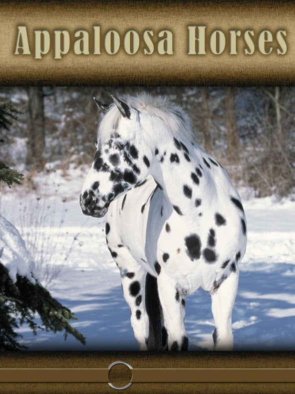 2008 - Appaloosa Horses (eBook)