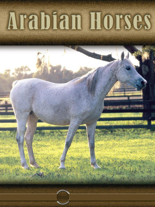 2008 - Arabian Horses (eBook)