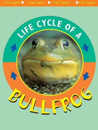 2004 - Life Cycle of A Bullfrog (eBook)
