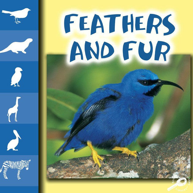 2007 - Feathers and Fur (eBook)