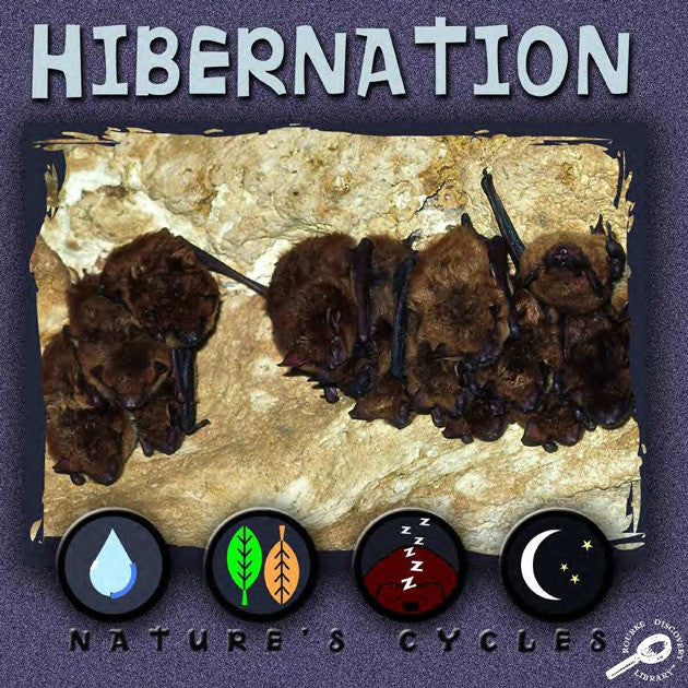 2007 - Hibernation (eBook)