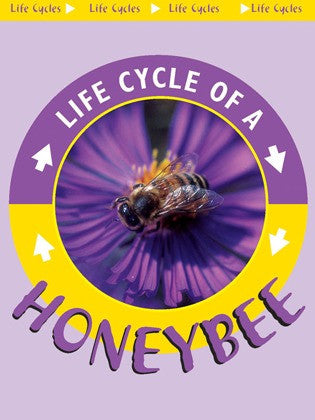 2004 - Honeybee (eBook)