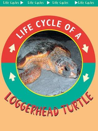 2003 - Loggerhead Turtle (eBook)