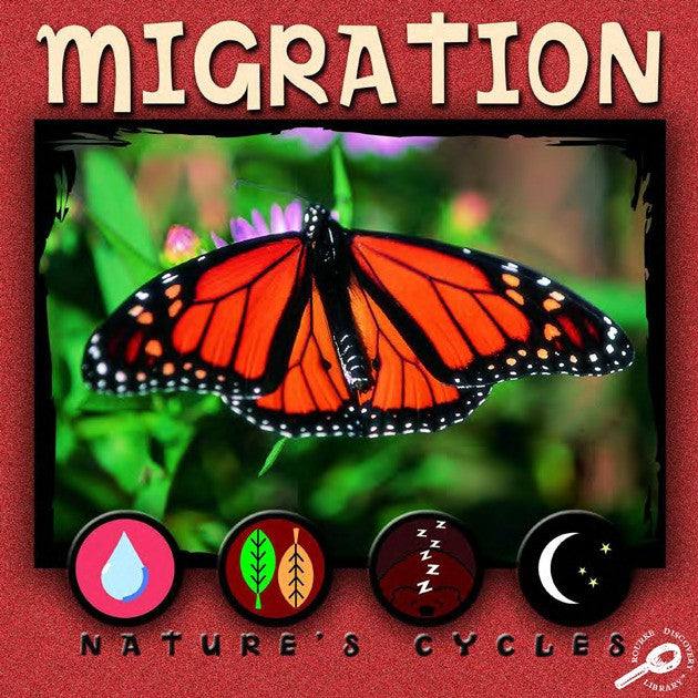 2007 - Migration (eBook)