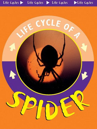 2004 - Spider (eBook)