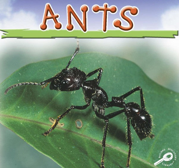 2006 - Ants (eBook)