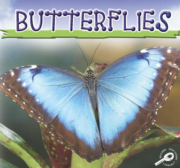 2006 - Butterflies (eBook)