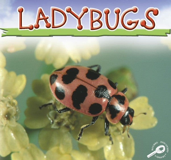 2006 - Ladybugs (eBook)