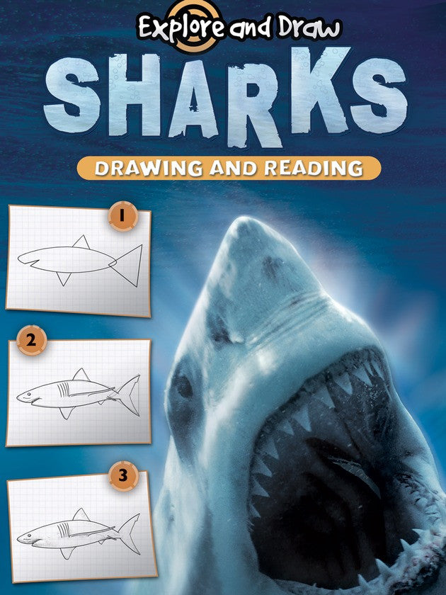 2011 - Sharks, Drawing and Reading (eBook)
