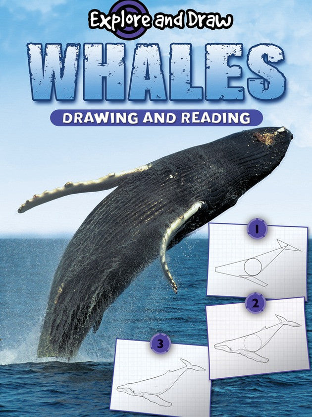 2011 - Whales, Drawing and Reading (eBook)