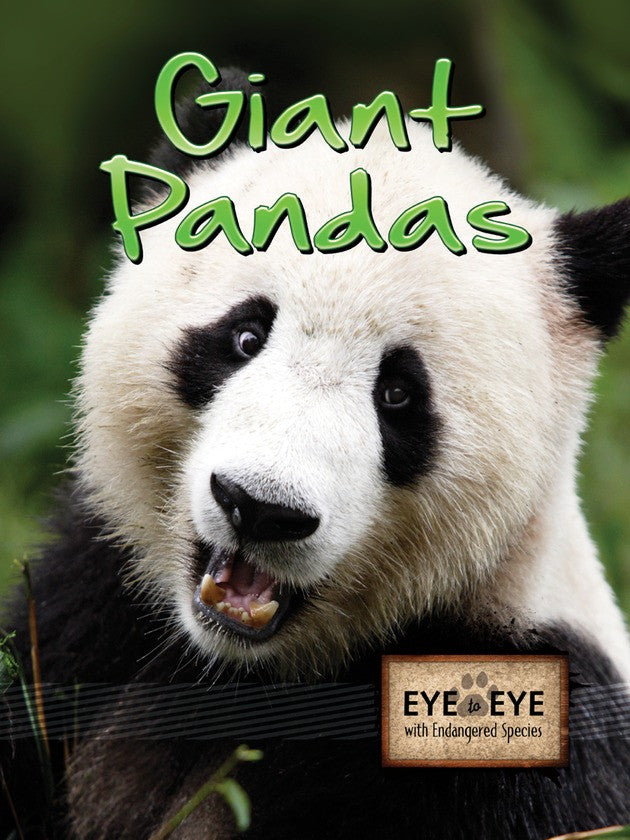 2011 - Giant Pandas (Paperback)