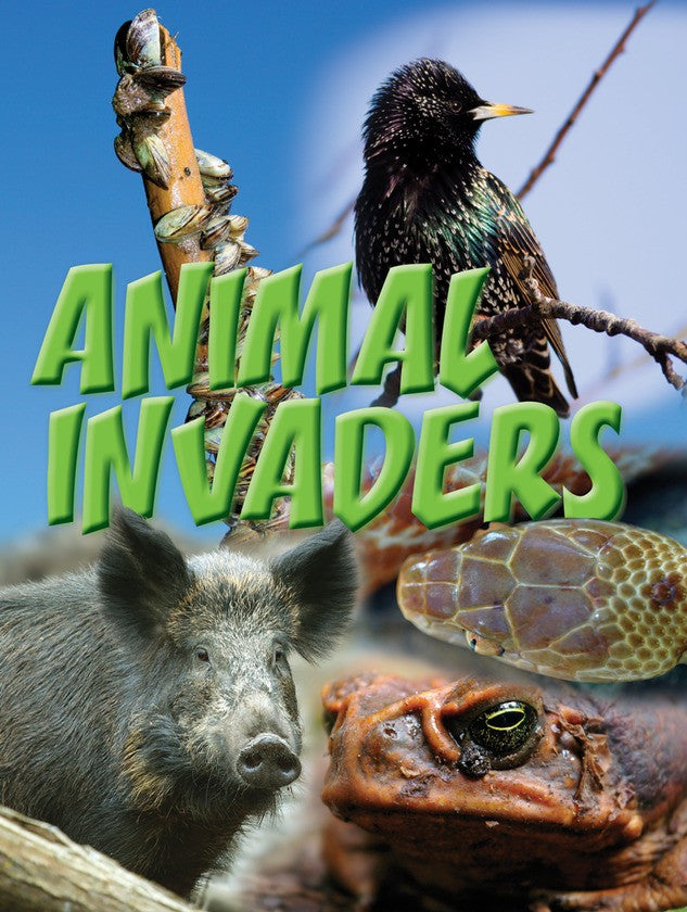 2011 - Animal Invaders (Paperback)