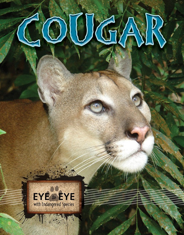2010 - Cougars (eBook)