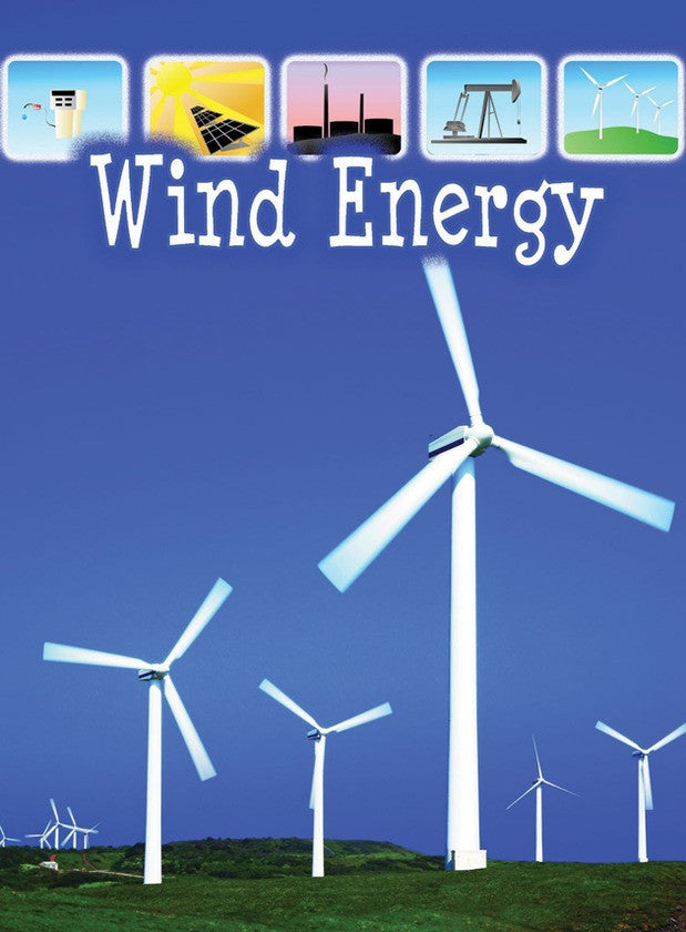 2009 - Wind Energy (eBook)
