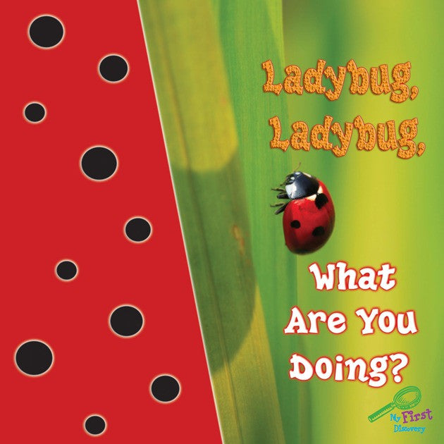 2009 - Ladybug, Ladybug, What Are You Doing? (eBook)