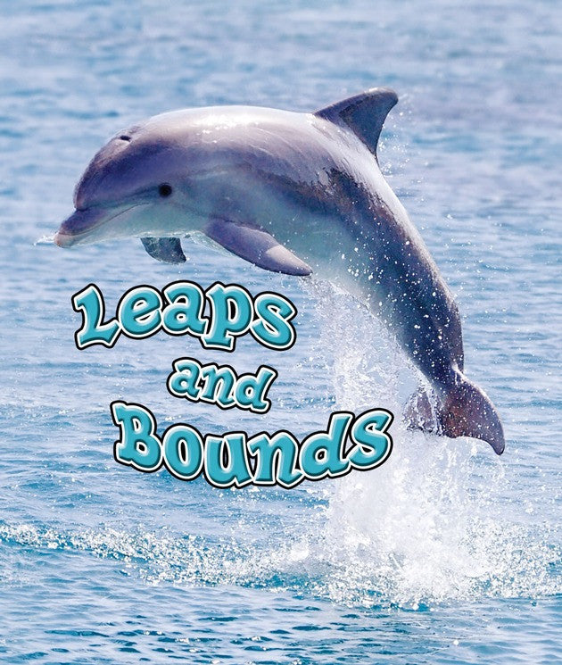 2009 - Leaps and Bounds (eBook)