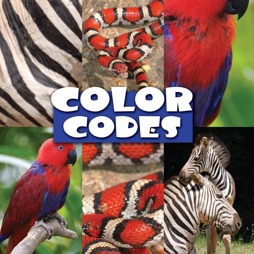 2009 - Color Codes (eBook)